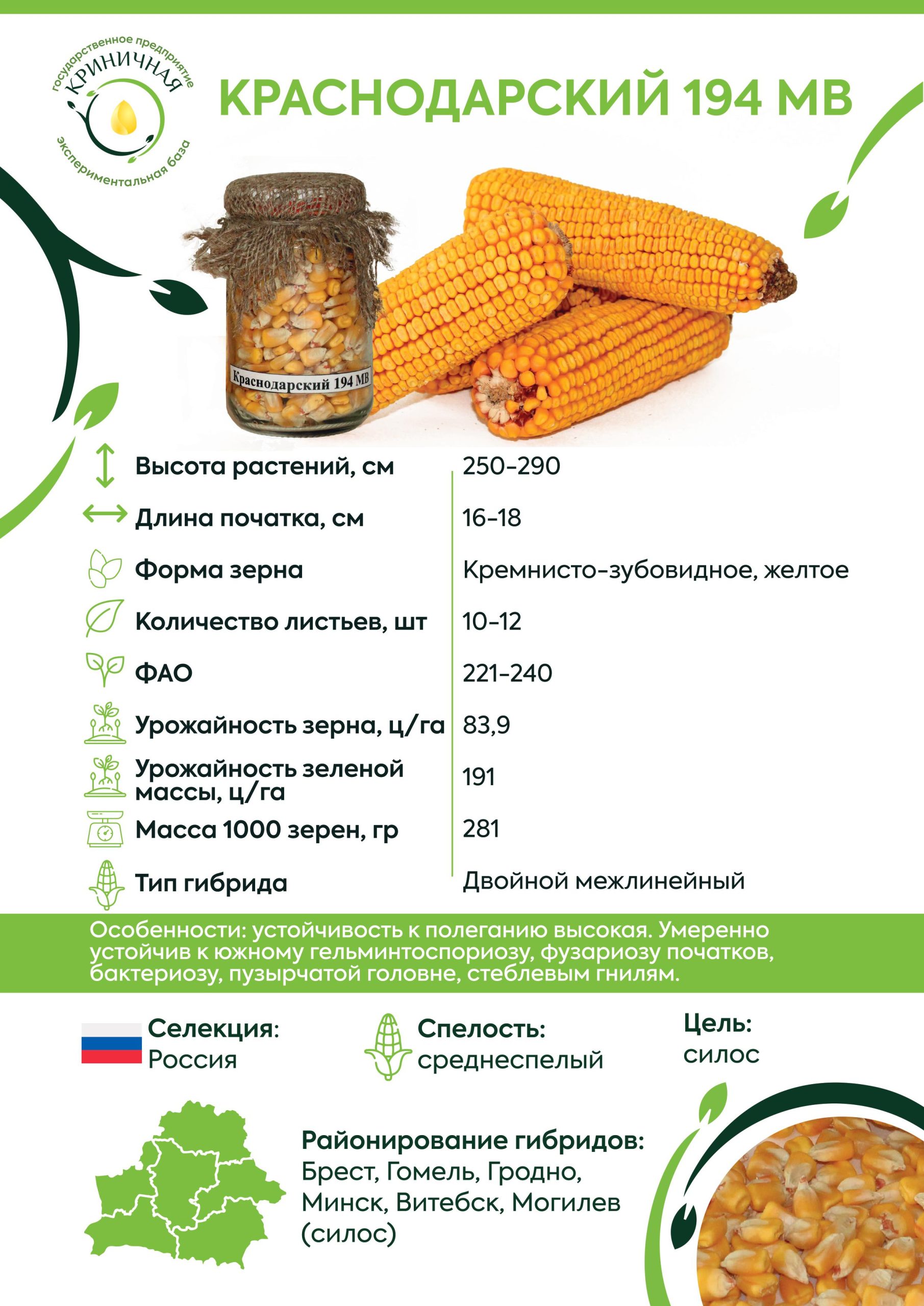 Краснодарский194МВ