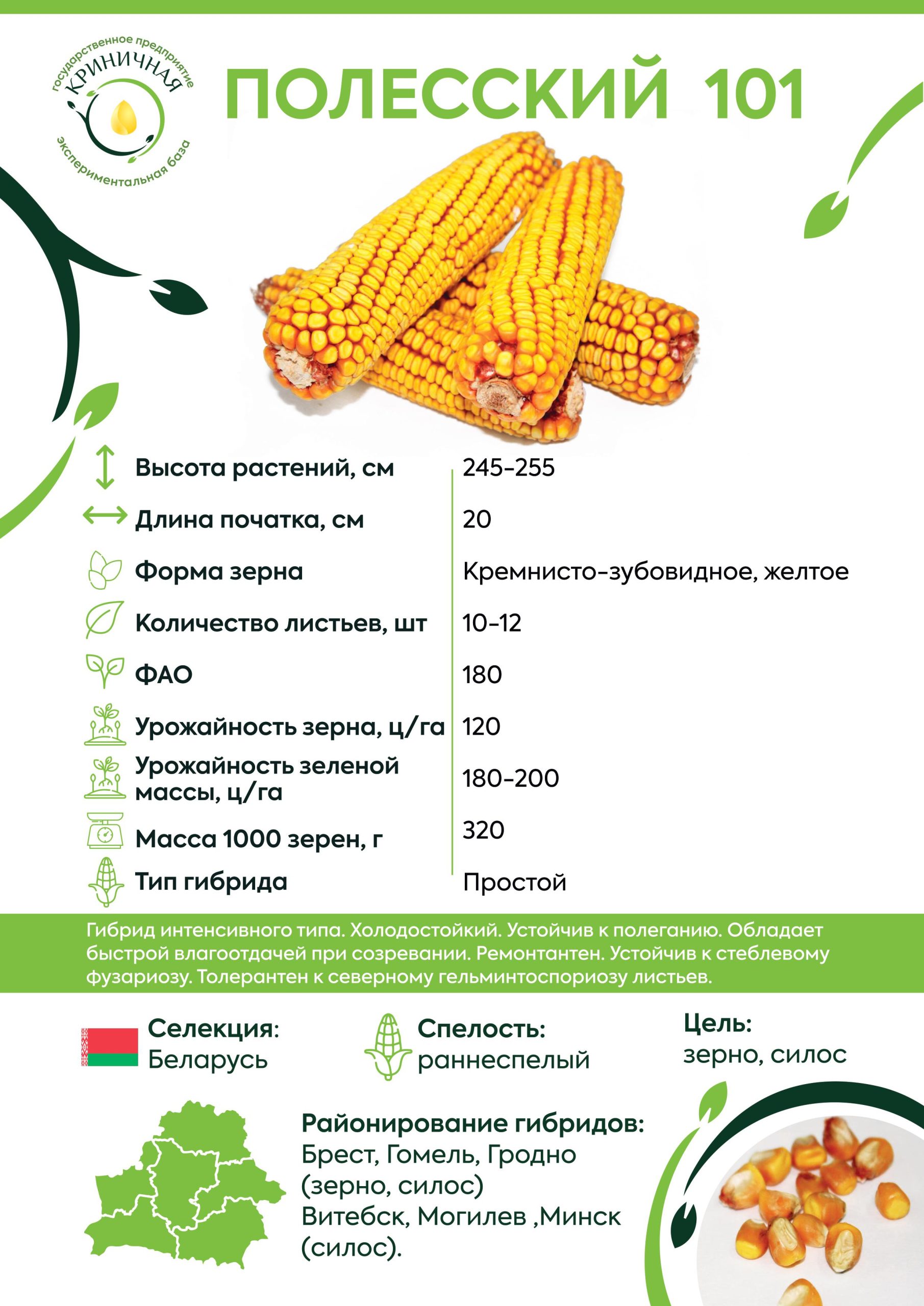 полесский101