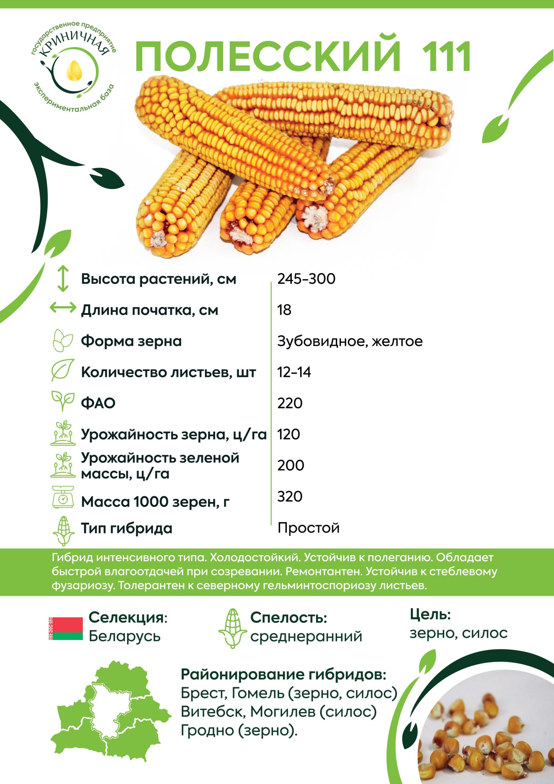 полесский111