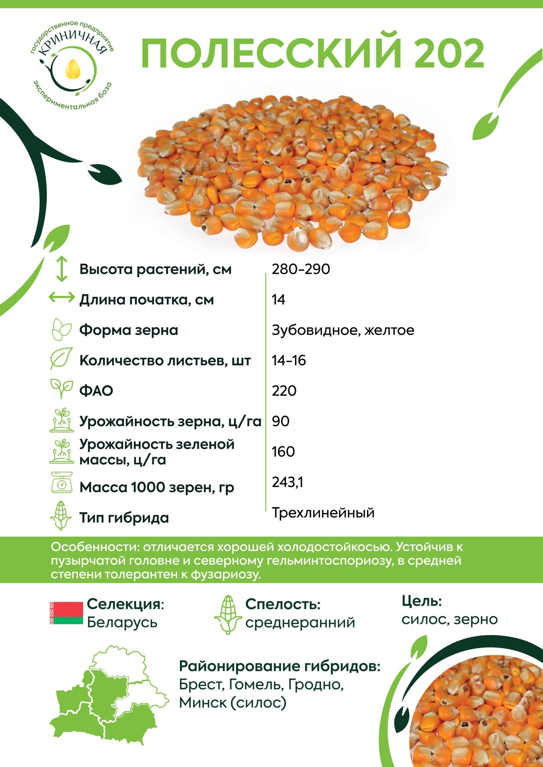 полесский202